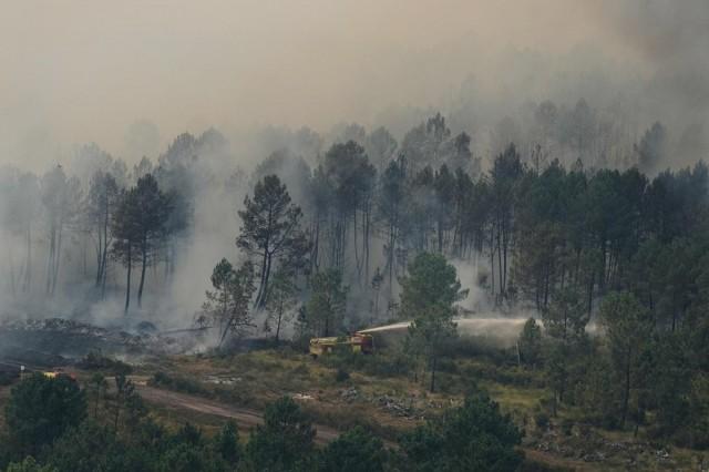 Firefighters suppress a fire in a forest near Ares, during wildfires in the area of southwestern France, Tuesday, July 28, 2026. Baz Ratner/ Pool via REUTERS