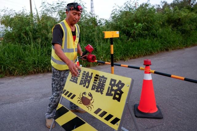 Volunteer Wu Ruei-chang, 60, a car mechanic, sets up a roadblock during the annual mangrove land crab breeding season in Taijiang National Park in Tainan, Taiwan, July 3, 2026. REUTERS/Ann Wang