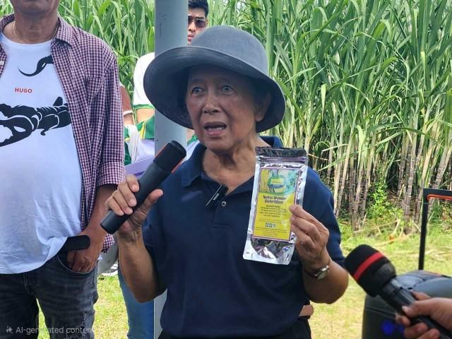 Photo: Mariel Celine Serquiña/GMA News