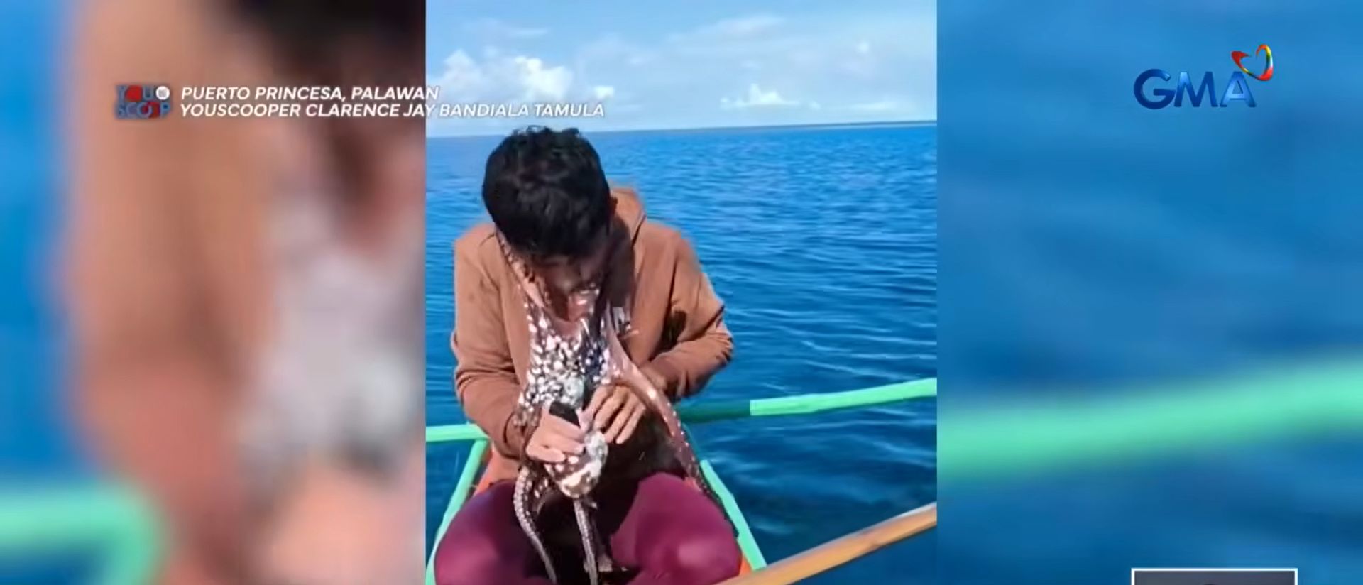 Mangingisda, tila nakipagbuno sa pugita na kumapit sa kaniyang mukha sa Palawan


