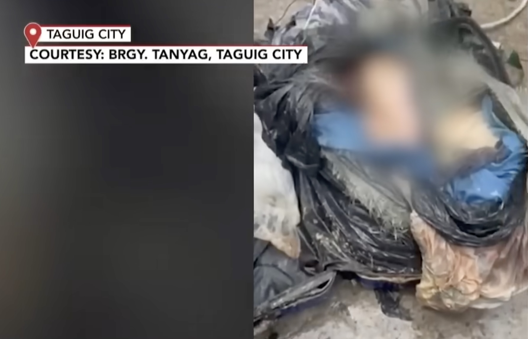 Woman's body found stuffed in suitcase in Taguig creek