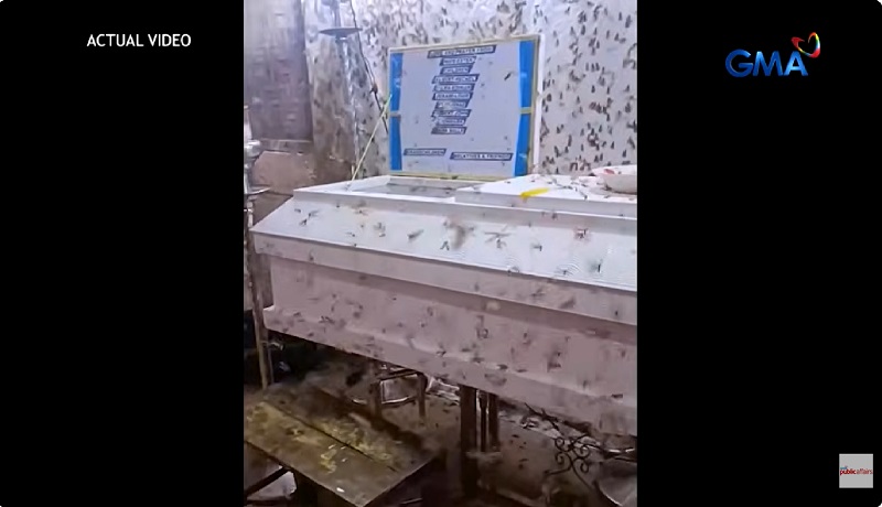 Burol ng isang ‘manggagamot,’ halos ‘di malapitan dahil sa sangkatutak na mga gamugamo sa Bohol