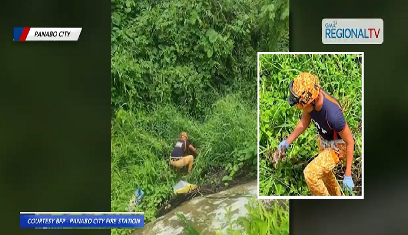 5 inabandong tuta sa masukal na lugar, sinagip ng mga tauhan ng BFP sa Panabo City