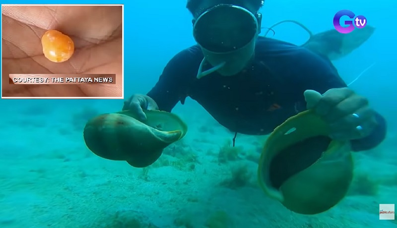 Suso na Binga kung tawagin, posibleng magtaglay na ‘Melo’ pearl na aabot sa P6M ang halaga kada carat