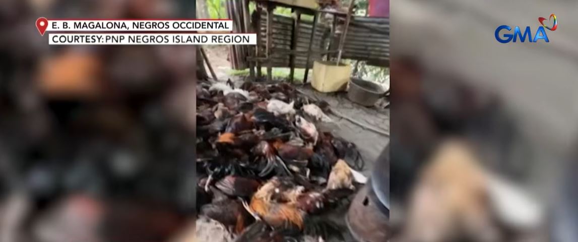 Illegal e-sabong operations busted by PNP in Negros Occidental