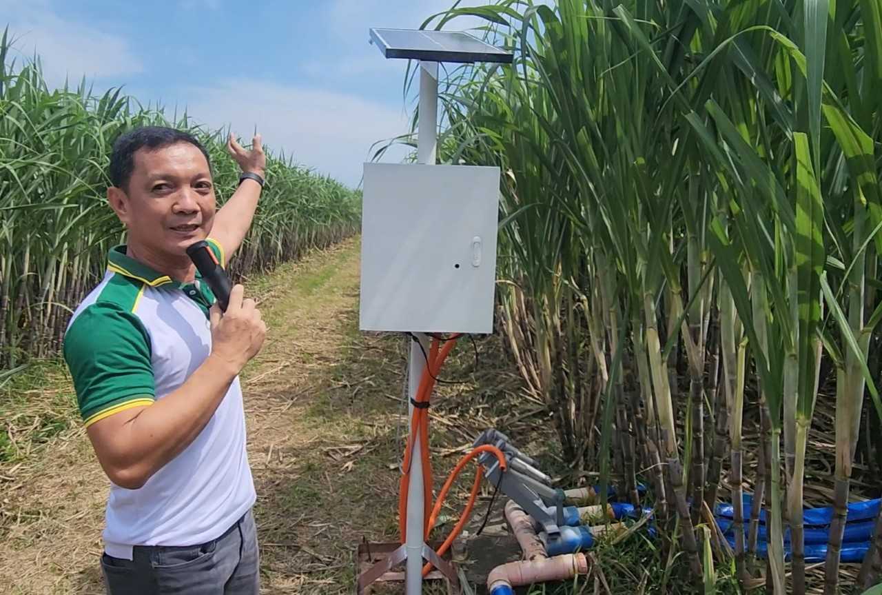 DOST-backed irrigation, fertilizer technologies help Tarlac sugarcane farmers boost yields ahead of El Niño