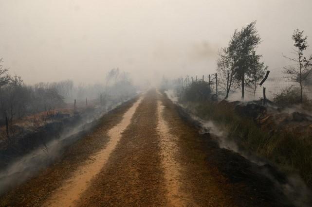 Smoke rises from burned soil in the area affected by wildfire near Malmedy, Belgium, August 16, 2026. REUTERS/ Yves Herman