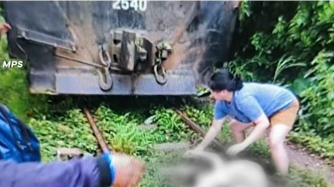 Lola na nakasakay sa trolley, patay nang mabangga ng tren ng PNR