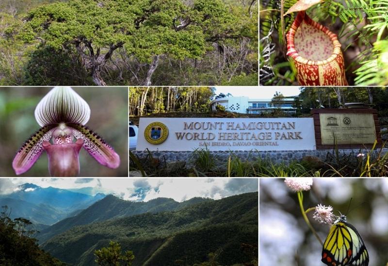Wet wipes, single-use plastics banned at Mount Hamiguitan