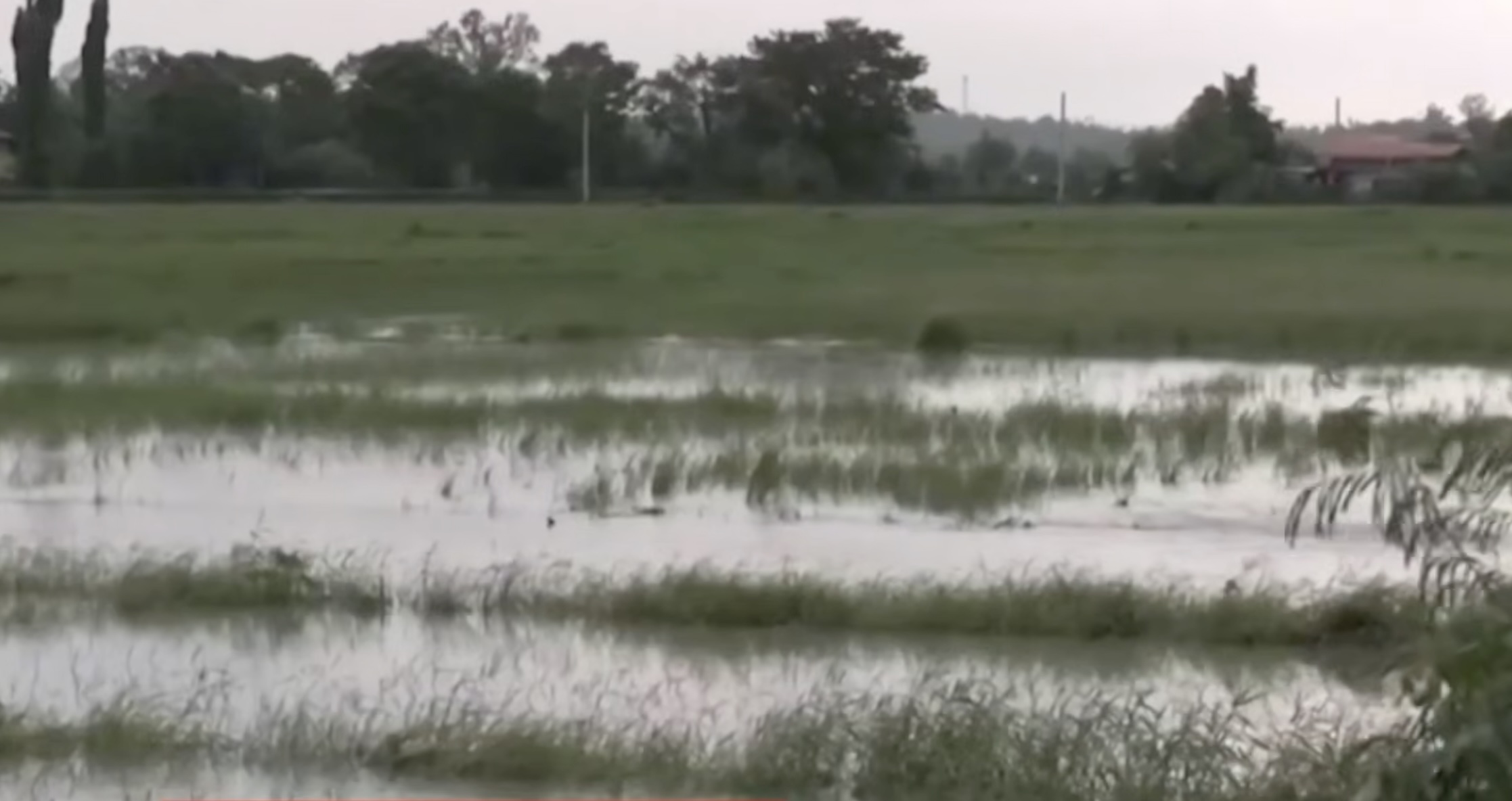 Agri damage due to Habagat, Neneng, past cyclones reaches P1.73B