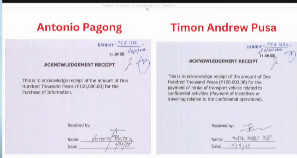 Antonio Pagong, Timon Pusa, more unusual names in OVP confidential fund receipts
