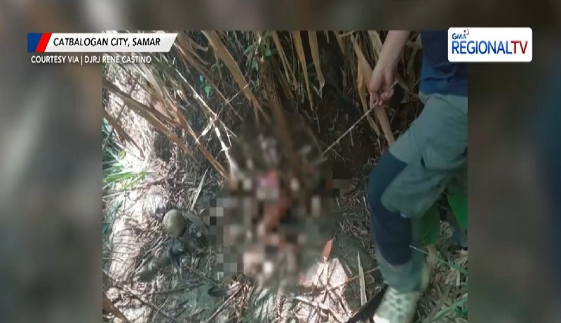 Batang babae na 9 araw nang nawawala, nakitang patay sa masukal na lugar sa Catbalogan, Samar