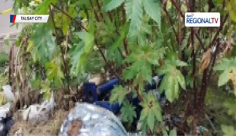 Bungo na natagpuan sa Talisay, Cebu, pag-aari ng nawawalang caregiver na babae