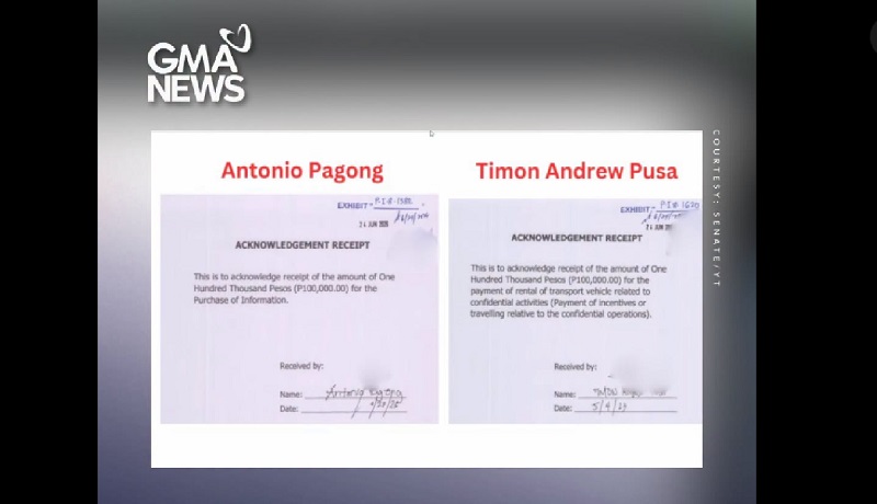 Ngitngit, Pagong, Pusa, ilan pang ‘kakaibang’ pangalan na lumabas sa OVP confidential fund receipts