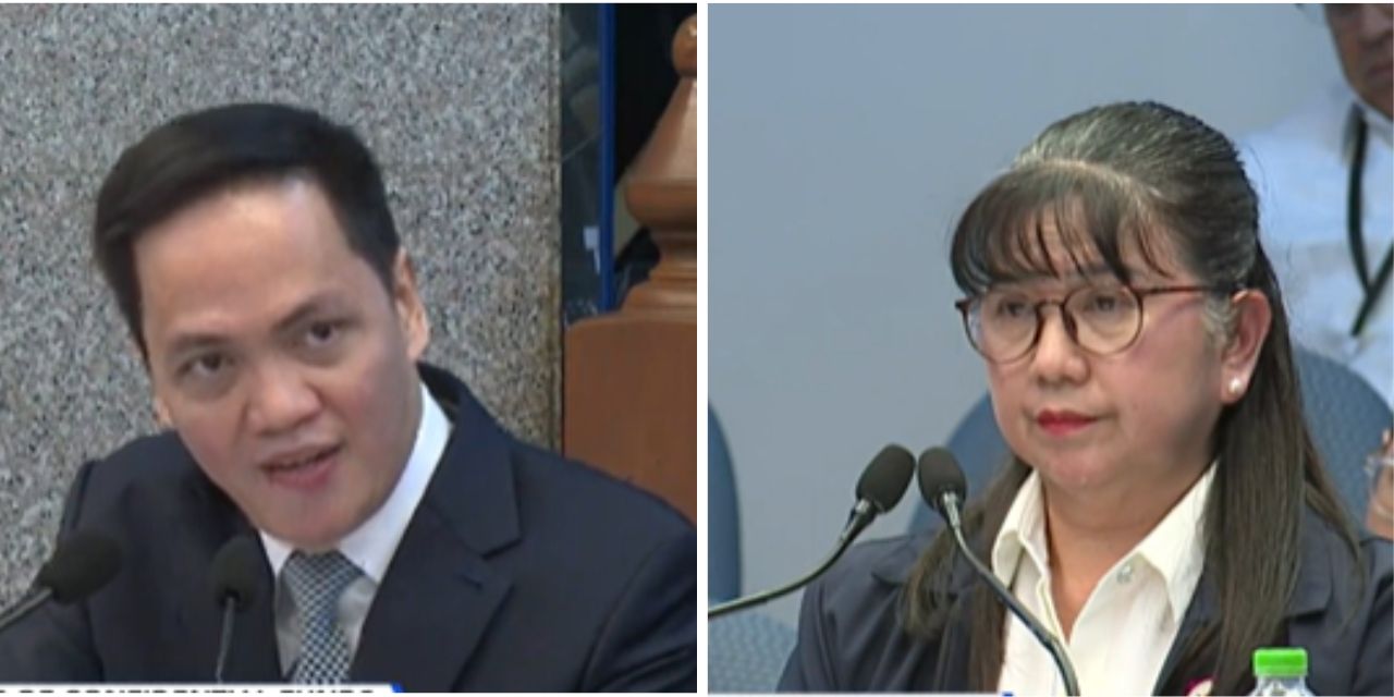 Prosecution: OVP can conduct tree planting activities sans confidential funds 