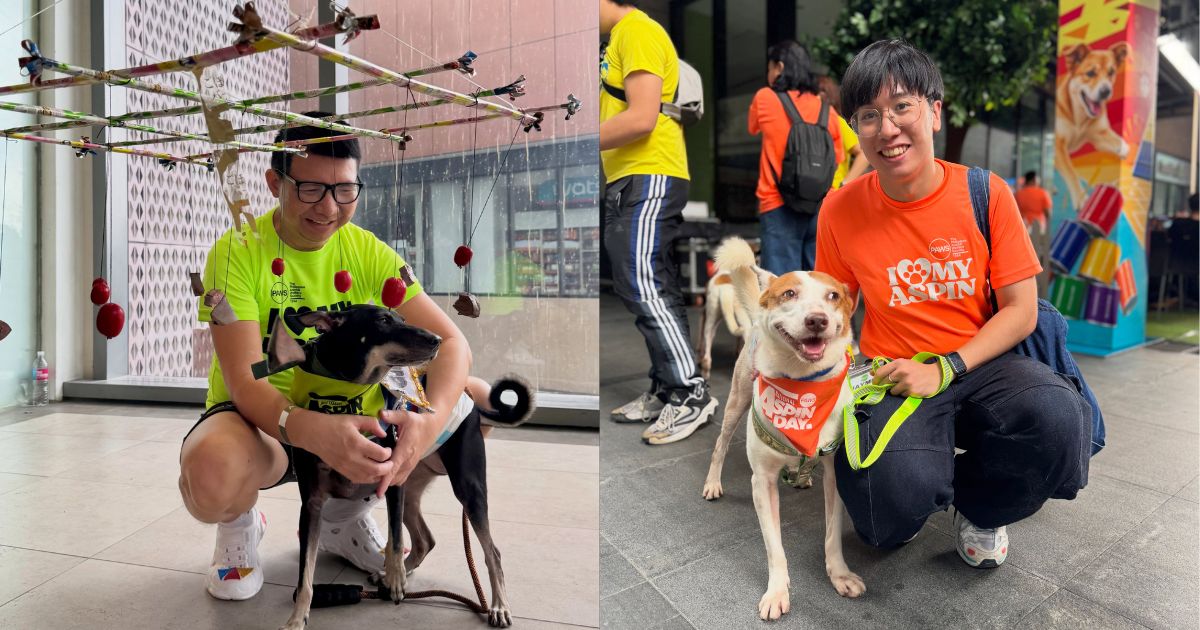 Rescued aspins take part in Palarong Pang-Aspin