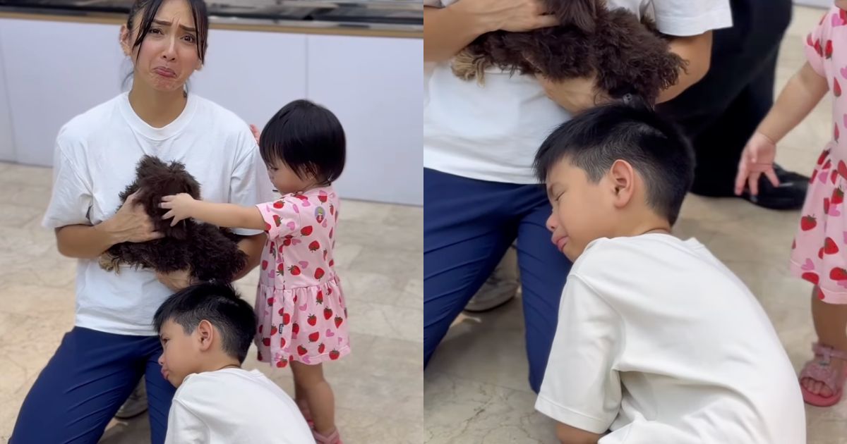 Iya Villania shares son Leon’s first heartbreak over a dog: 'I didn’t realize how attached he got'