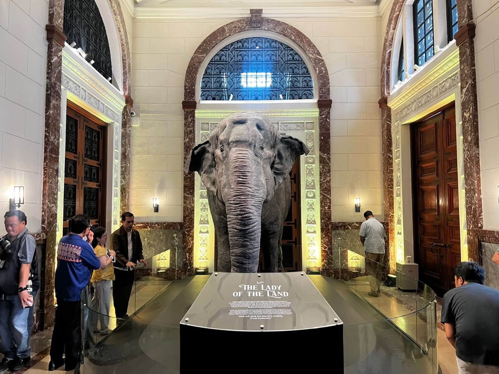 Mali's preserved remains go on display at National Museum