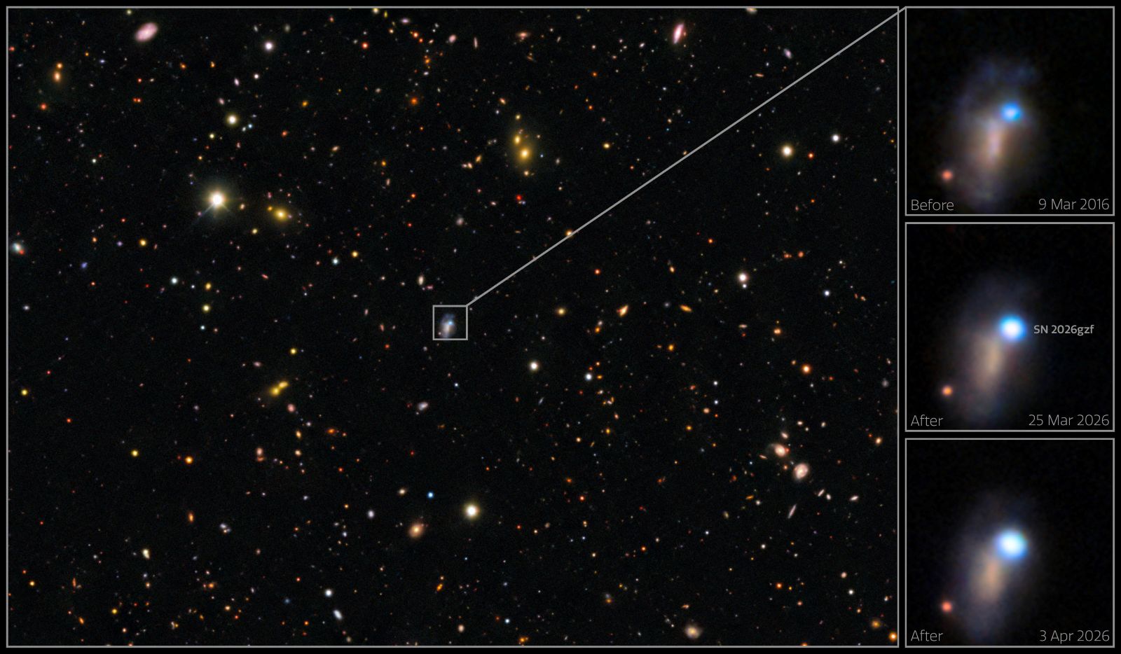 Astronomers watch the whole process as a huge star dies