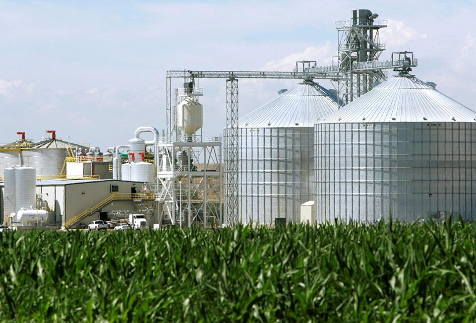 Global biofuel output to jump nearly 70% by 2030 due to Gulf energy crisis, study finds