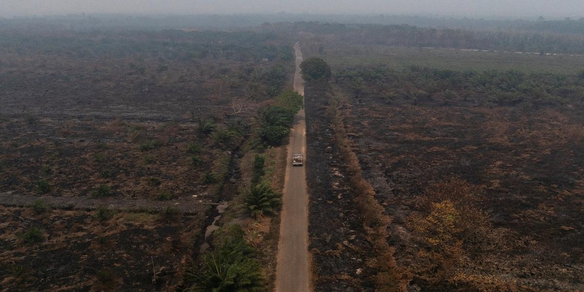 Reducing Indonesia wildfires will be challenging as El Niño peaks this month, minister warns
