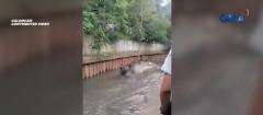 Nawawalang senior citizen, patay nang matagpuan sa isang creek sa Caloocan