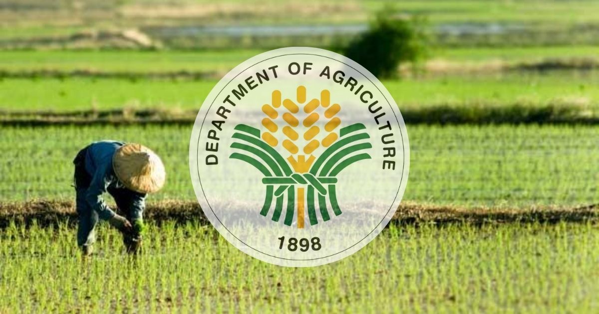 DA sets Dec. 31 deadline for agri storage registration