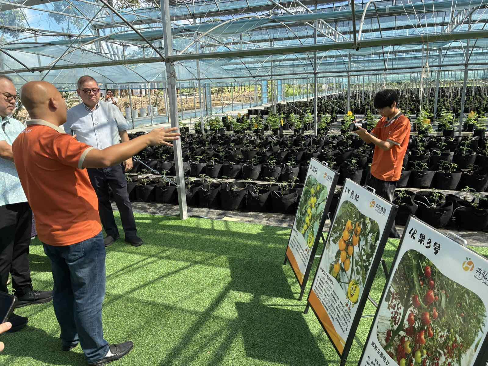 DA looks into China's smart farms for PH agriculture modernization 