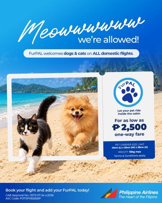 PAL now allows cats to on board domestic flights