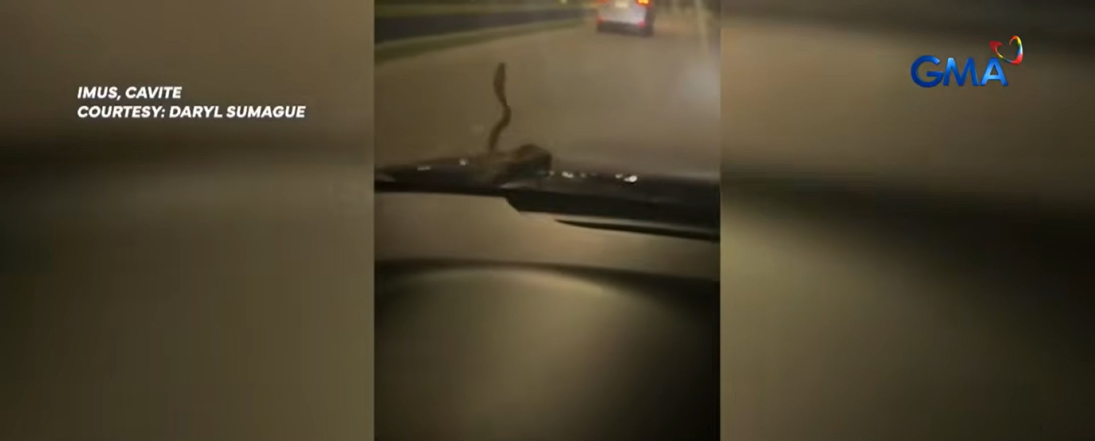 Ahas, lumitaw sa hood ng umaandar na kotse sa Cavite
