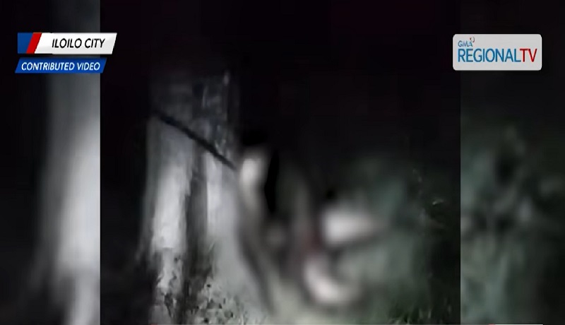 Lalaking nakagapos sa puno, nakitang may nakatarak na patalim sa ulo sa Iloilo City