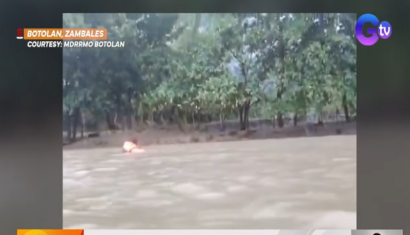 Mag-amang tumatawid sa ilog sakay ng kariton na hatak ng kalabaw, tinangay ng agos; ama patay, anak nawawala