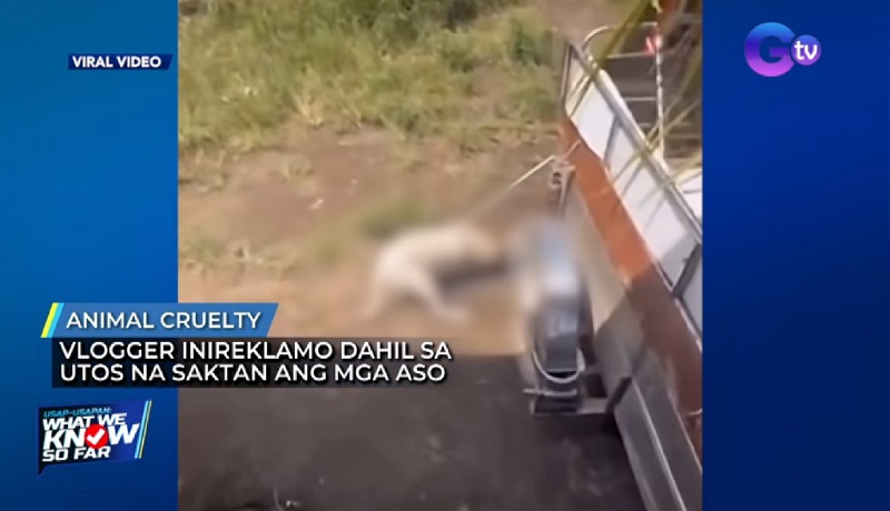 Vlogger na nagbantang papatayin ang aso na sumira sa tsinelas niya, kinasuhan ng animal rights group