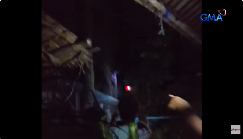 Aswang, nakita umano ng mga residente sa puno sa La Castellana, Negros Occidental? Aswang, nakita umano ng mga residente sa puno sa La Castellana, Negros Occidental?