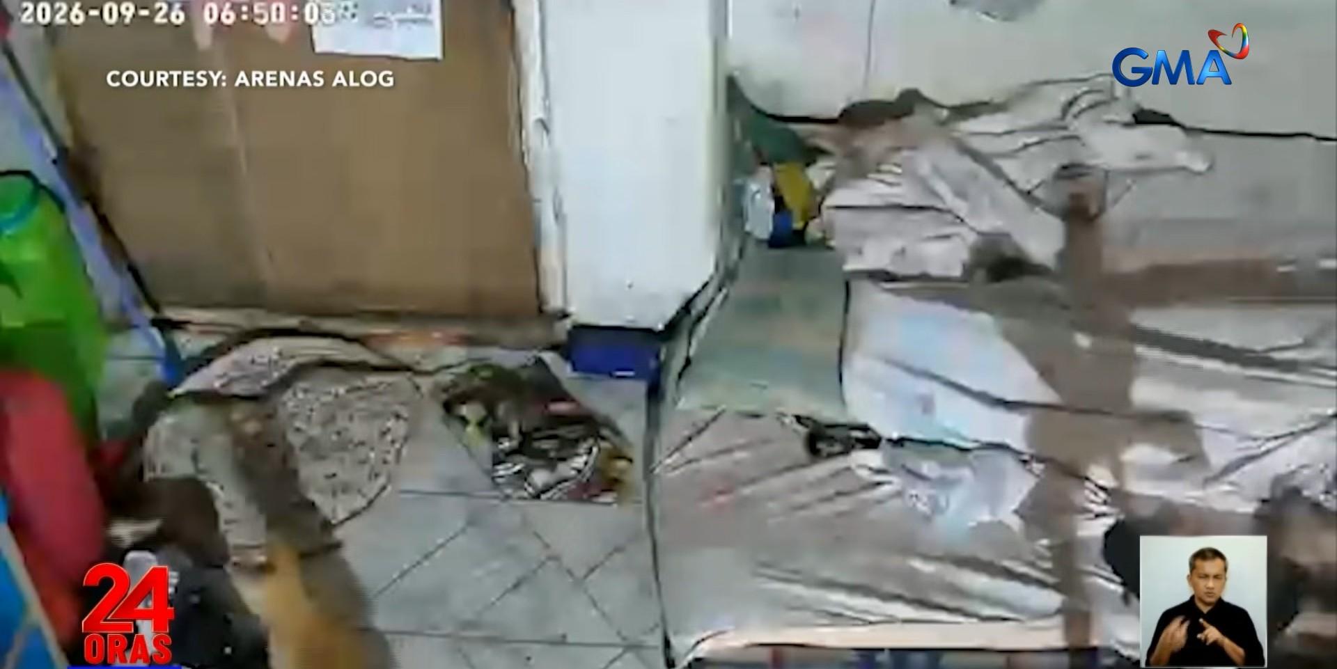 Cat protects family from snake that crawled under bed in Taytay, Rizal 