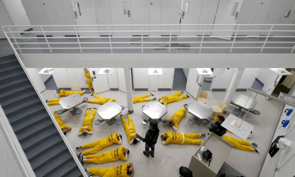 Netflix to revisit Stanford Prison Experiment in new unscripted series
