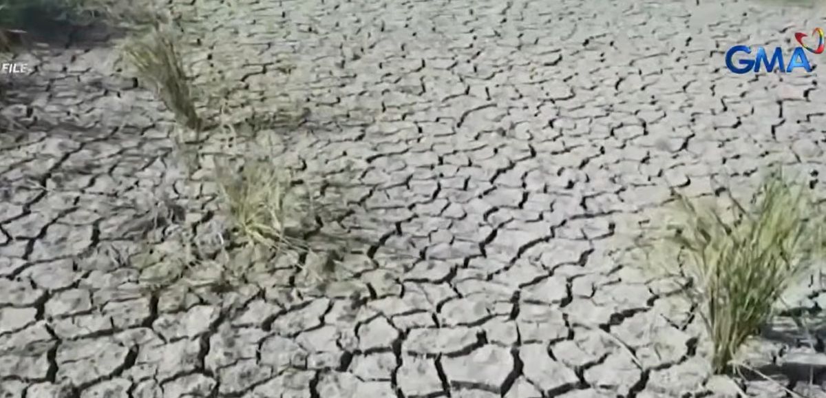 DA records P6.87-B agricultural damage, losses amid ongoing El Niño impact