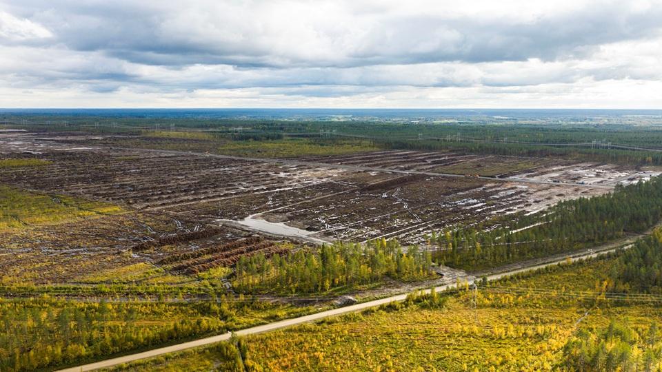 Finland launches criminal probe into land clearance for Google data center