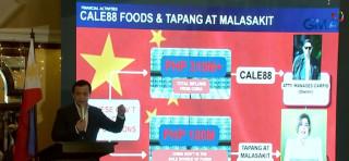 'Malicious fabrications': Sara Duterte camp slams Trillanes' claims 