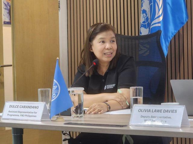 'Drought isn't just about the lack of rain. We also need to look at the state of our soil, the health of our groundwater,' says Dulce Carandang, assistant representative for programme, Food and Agricultural Organization (FAO) Philippines, during a press conference in Makati City on Thursday, October 22, 2026. MARIEL CELINE SERQUIÑA