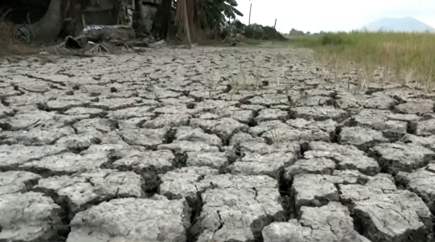 Very strong El Niño not enough reason to hike commodity prices -- DA