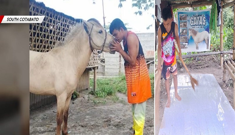 Alagang kabayo na pumanaw, ginawan ng maayos na libingan sa halip na gawing tapa sa  South Cotabato