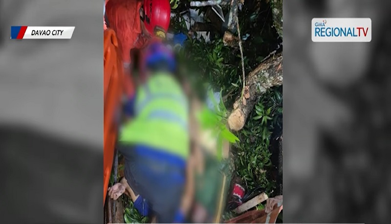2 lalaki, patay nang mabagsakan ng puno ang isang bunkhouse sa Davao City
