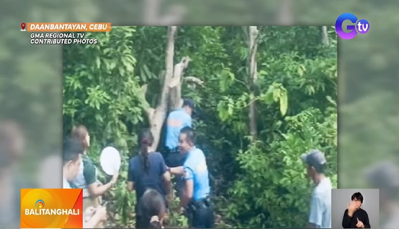 Lalaki, patay nang madaganan ng malaking sanga ng puno sa Cebu