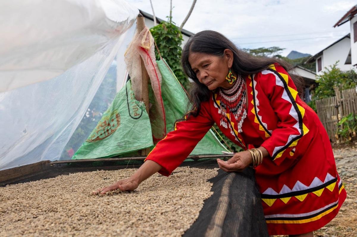 Bukidnon tribe's arabica coffee gets nearly P98-M boost from World Bank
